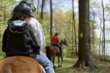 Big Sky Horseback