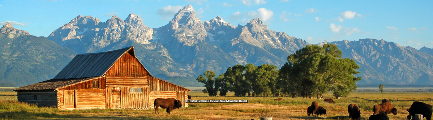 Jackson Hole Summer Vacation