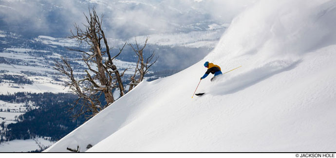 jackson hole powder ski trip