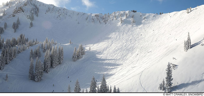 Ski Snowbird | Vacation Packages