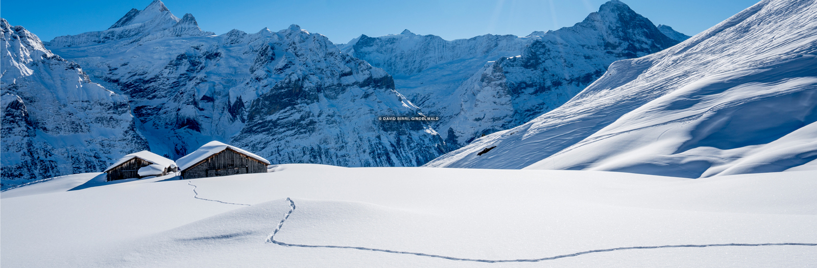 Grindelwald | Jungfrau Region, Switzerland