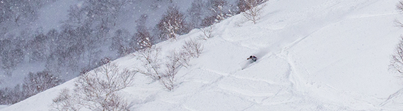 featured promo image