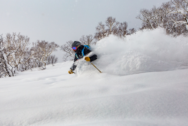 what to expect skiing in japan, japan ski terrain, what is skiing like in japan