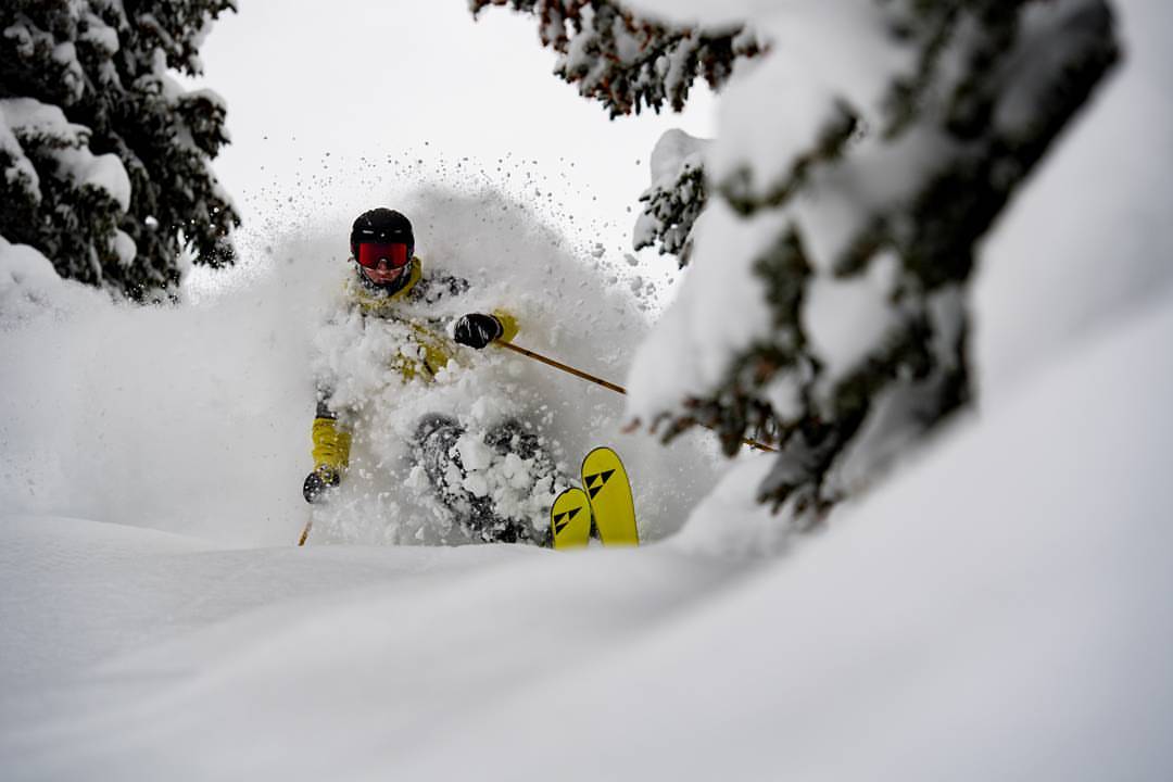 skier in powder at alta ski area