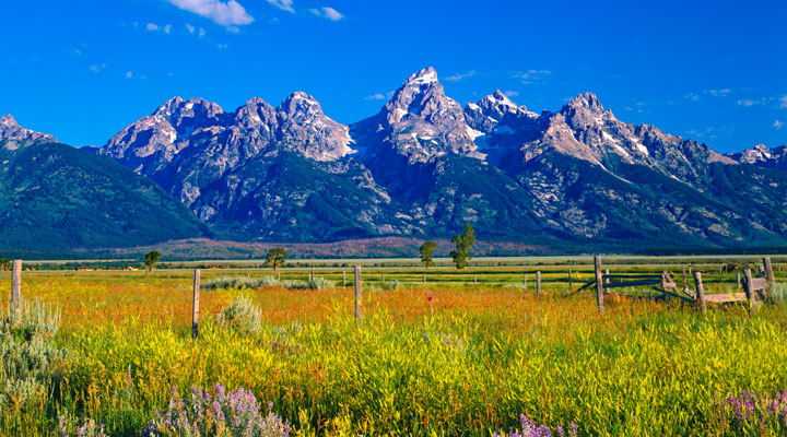 Grand Teton National Park