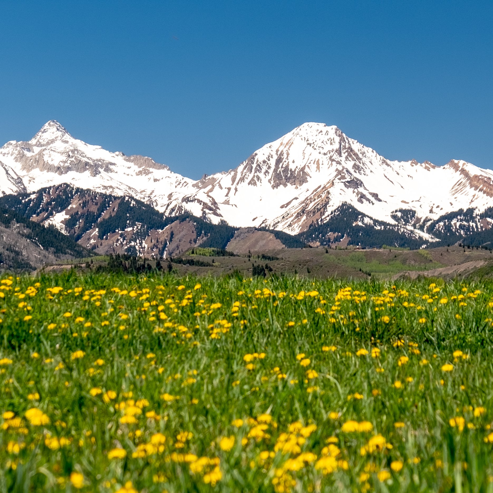 aspen hiking, aspen hikes, best hiking in the world