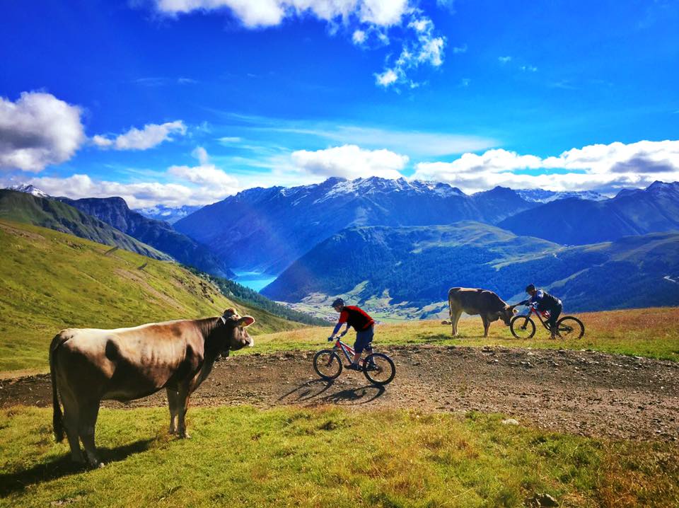 livigno mountain biking, livigno mountain biking trails, livigno italy mountain biking